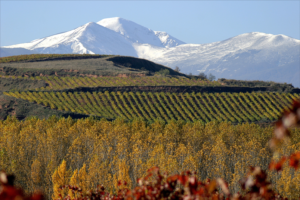 Paisaje nuestra tierra